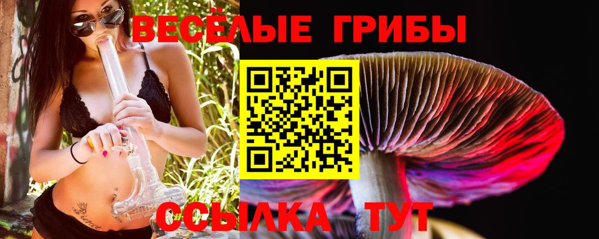Галлюциногенные грибы Magic Shrooms  Вход с VPN  Златоуст 