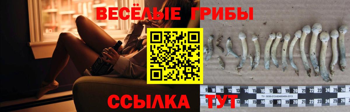 Галлюциногенные грибы Magic Shrooms Златоуст